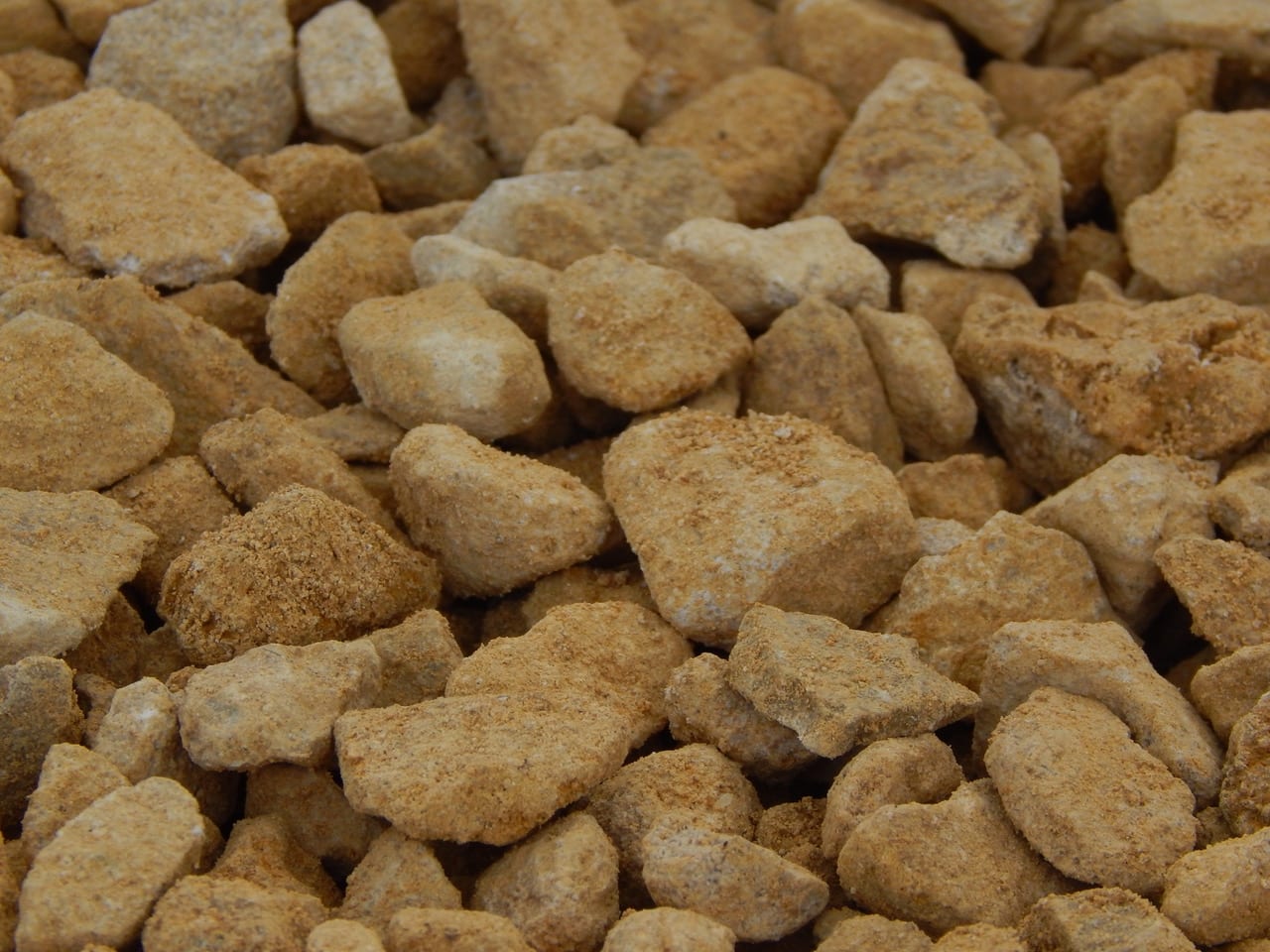 Cotswold Buff West Midlands Singletons Nurseries, Bromsgrove