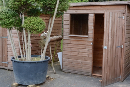 Pent Garden Shed