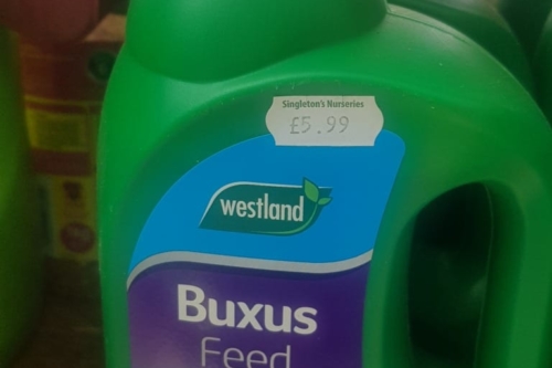 Buxus Feed Concentrate