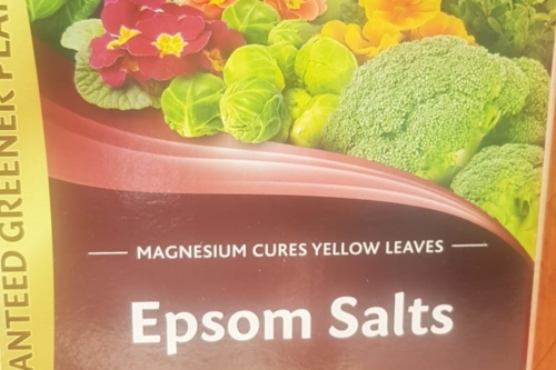 Epsom salts
